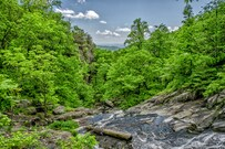 green_leafed_trees_during_daytime-Jerry_Adney-4928x3264-_WiFMBRT7Aw.jpg